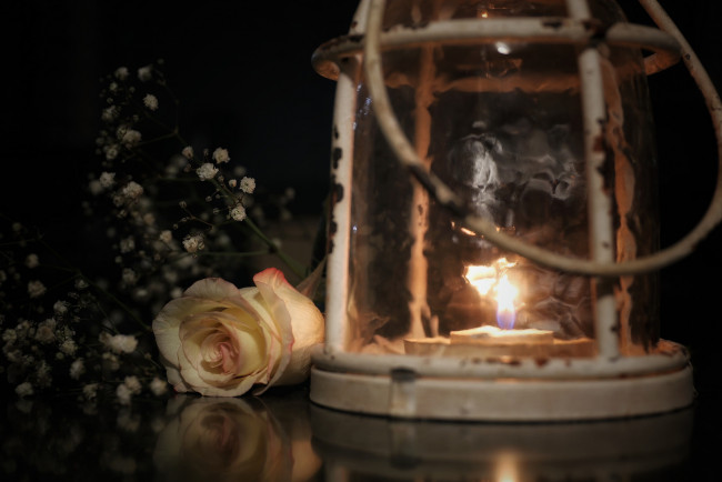 Обои картинки фото цветы, розы, стиль, лампа, свеча, фонарь, зелень, огонь, роза, бутон, цветок