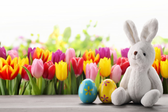 Обои картинки фото праздничные, пасха, яйцо, заяц, тюльпаны