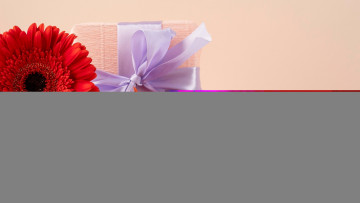 Картинка праздничные подарки+и+коробочки герберы подарок лента бант записка