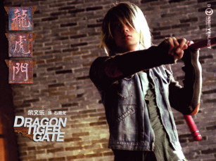 Картинка кино фильмы dragon tiger gate