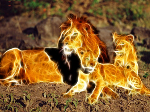 Картинка 3д графика animals животные лев