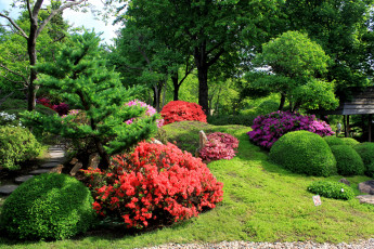 Картинка Чехия прага природа парк деревья цветы дорожка