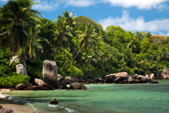 Картинка сейшелы природа тропики берег
