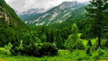 Картинка словения bovec природа горы лес