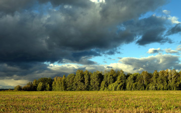 Картинка природа поля облака деревья пейзаж