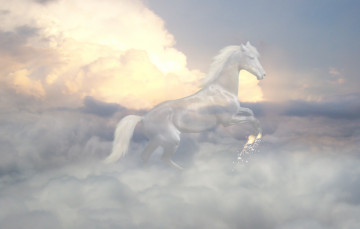 обоя фэнтези, призраки, лошадь, облака