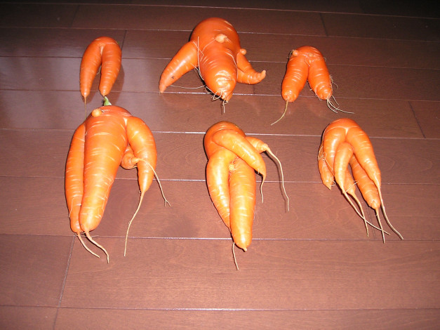 Обои картинки фото еда, морковь, стол