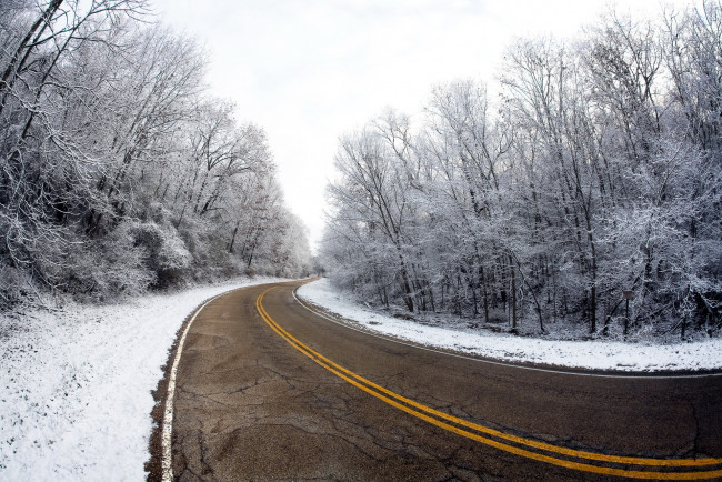 Обои картинки фото природа, дороги, деревья, дорога, зима