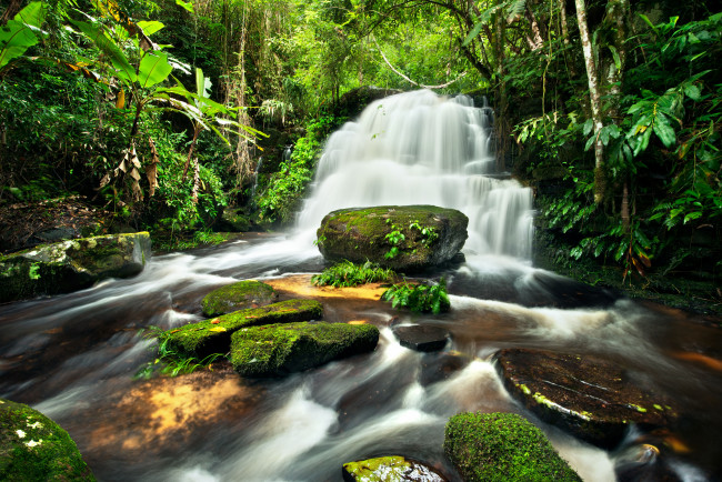 Обои картинки фото природа, водопады, джунгли, камни, лес, река