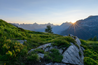 Картинка alps switzerland природа горы восход рассвет швейцария альпы