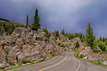 Картинка yellowstone national park wyoming природа дороги йеллоустон вайоминг деревья камни