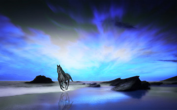 Картинка 3д графика animals животные тучи лошадь пляж океан