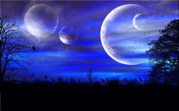 Картинка 3д графика atmosphere mood атмосфера настроения птицы деревья ночь небо планеты звезды