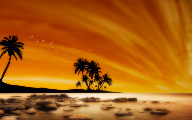 Обои картинки фото 3д, графика, sea, undersea, море, облака, камни, небо, пальмы, пляж, океан