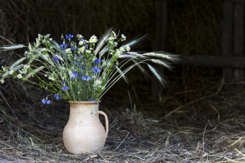 Картинка цветы луговые+ полевые +цветы колосья васильки ваза сено ромашки