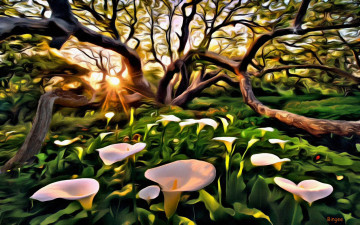 Картинка рисованные цветы каллы дерево
