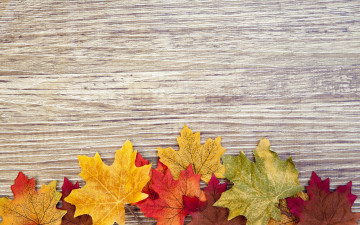 Картинка разное ремесла +поделки +рукоделие дерево autumn осенние листья texture wood colorful leaves