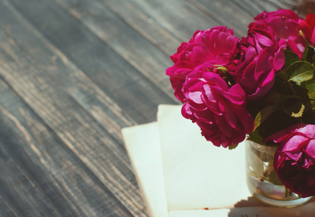 Обои картинки фото цветы, розы, банка, бумага