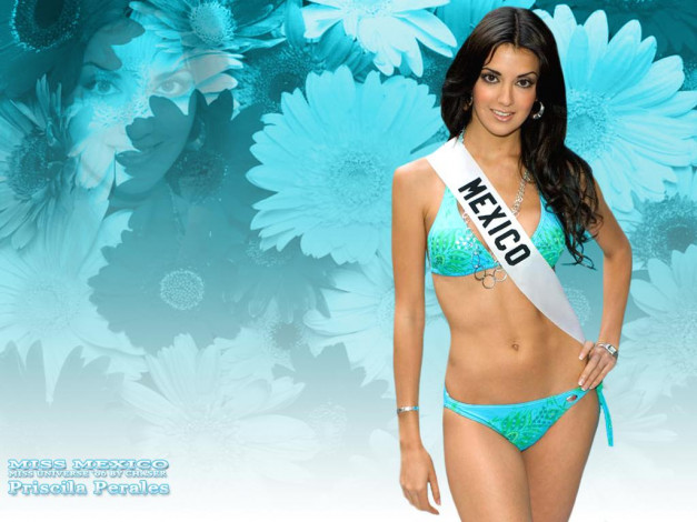 Обои картинки фото Miss universe 2005, mexico, priscila, perales, девушки