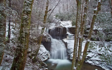 Картинка природа водопады камни вода деревья снег