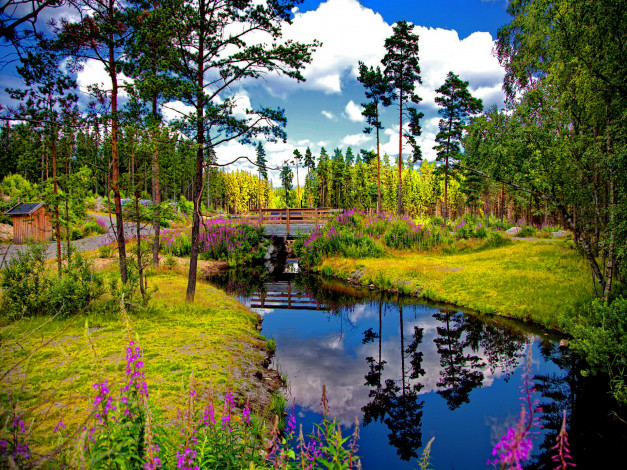 Обои картинки фото природа, реки, озера, трава, отражение, лес, речка, мостик, деревья
