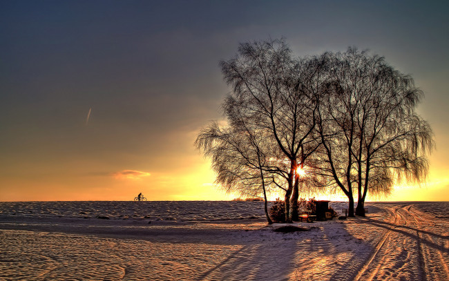 Обои картинки фото природа, зима, деревья, снег, закат