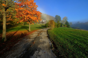 Картинка природа дороги деревья дорога осень
