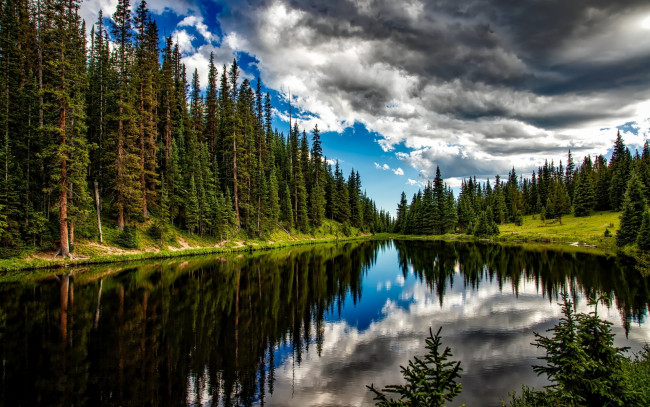 Обои картинки фото природа, реки, озера, озеро, вода, отражение, лето, деревья, лес, облака