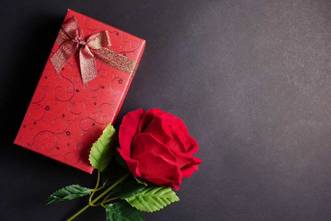Обои картинки фото праздничные, подарки и коробочки, подарок, лента, бант, роза