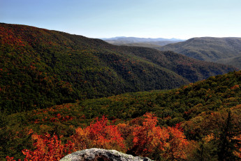 Картинка природа горы лес осень