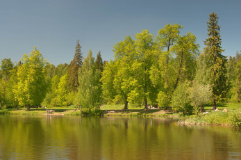 Картинка природа реки озера деревья озеро лето