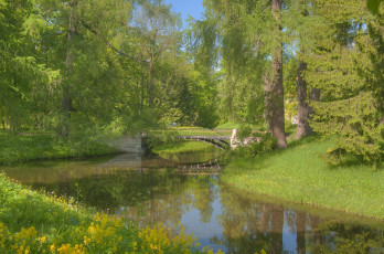 Картинка природа парк деревья мостик пруд