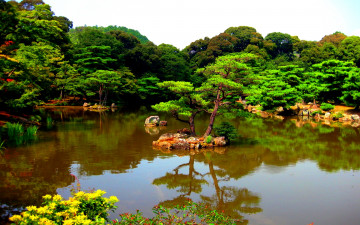 Картинка japanese park природа парк пруд островок деревья трава цветы Япония