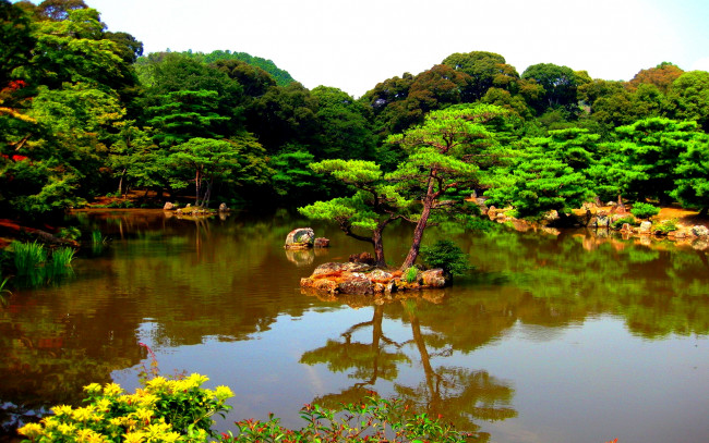 Обои картинки фото japanese, park, природа, парк, пруд, островок, деревья, трава, цветы, Япония