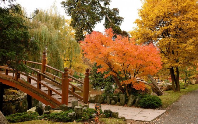 Обои картинки фото польша, вроцлав, природа, парк, деревья, осень, мостик