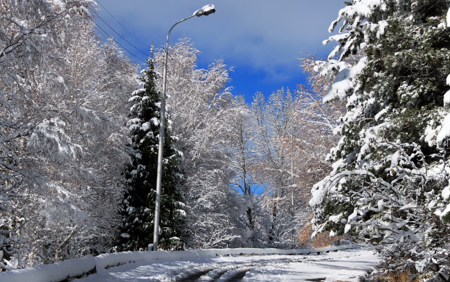 Обои картинки фото природа, зима, дорога, снег, пейзаж