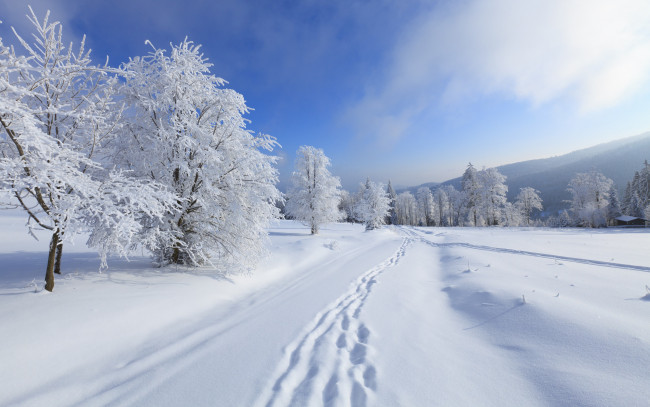Обои картинки фото природа, зима, снег, горы, деревья, небо, облака