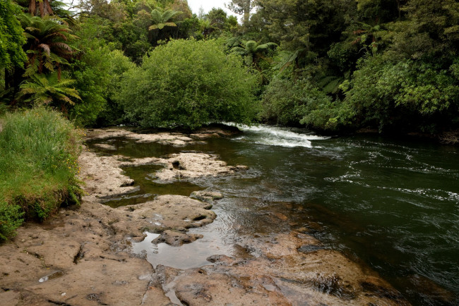 Обои картинки фото new, zealand, kaituna, river, природа, реки, озера, тропики, река