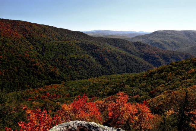 Обои картинки фото природа, горы, лес, осень