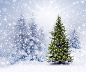 обоя праздничные, Ёлки, снег, елка