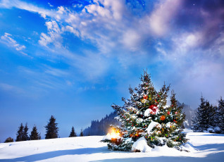 обоя праздничные, Ёлки, елка, снег, небо, лес