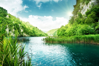 Картинка природа реки озера вода зелень