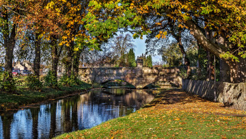 Картинка природа парк мост деревья пруд осень