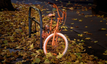 обоя техника, велосипеды, замок, велосипед, желтая, листва, осень, улица