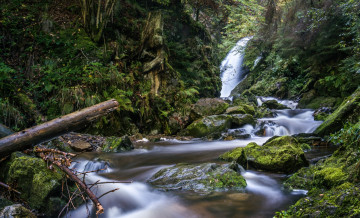 Картинка природа водопады водопад бревна камни лес река