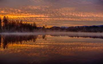 обоя lake, kirchsee, bavaria, germany, природа, реки, озера, лес, утро, туман, отражение, рассвет, германия, бавария, озеро, кирхзее