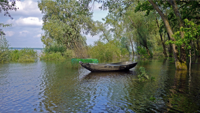 Обои картинки фото корабли, лодки, шлюпки, деревья, лодка, пейзаж, озеро