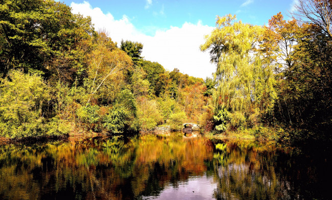 Обои картинки фото природа, реки, озера, каменный, мост, река, лес, осень