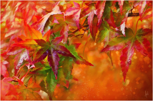 Обои картинки фото рисованные, природа, листья, осень