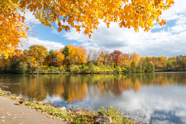 Обои картинки фото природа, реки, озера, краски, озеро, лес, осень